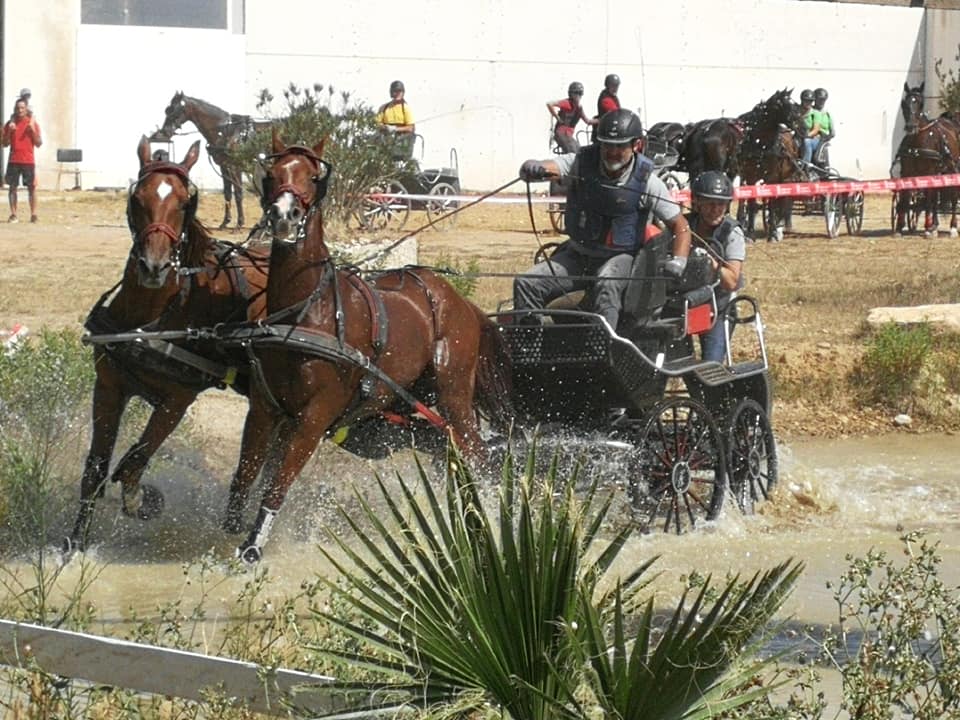 3ª Fase y Final del Campeonato Navarra de Enganches Indoor en La Pinturita de Olite